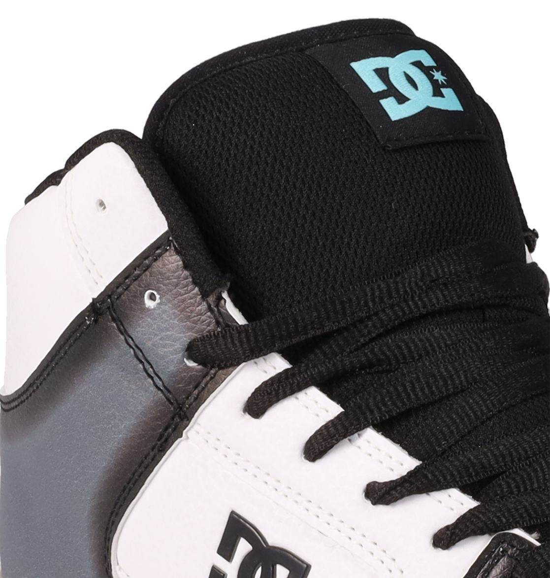 ADYS100853-WG2-DTL1.png