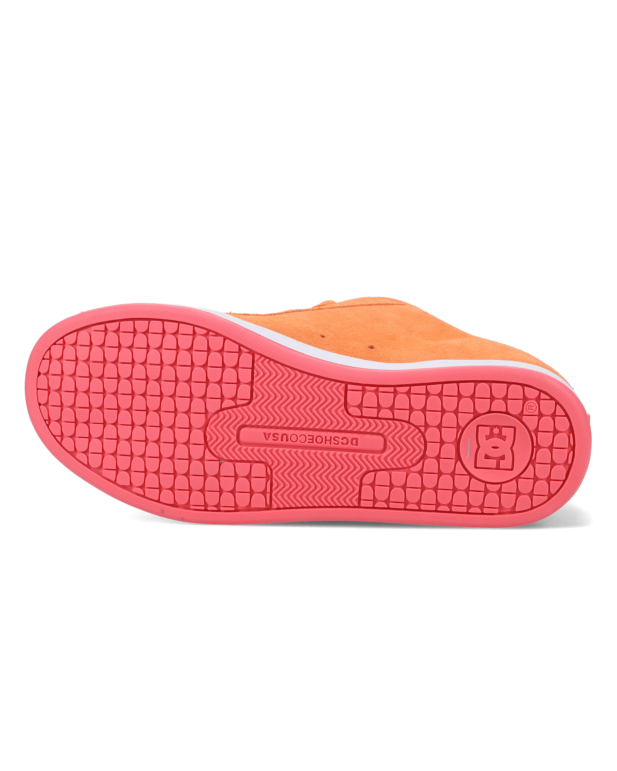 DC02222826-BCK2.png