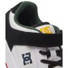 adbs300378_dcshoes_wbd-3.jpg